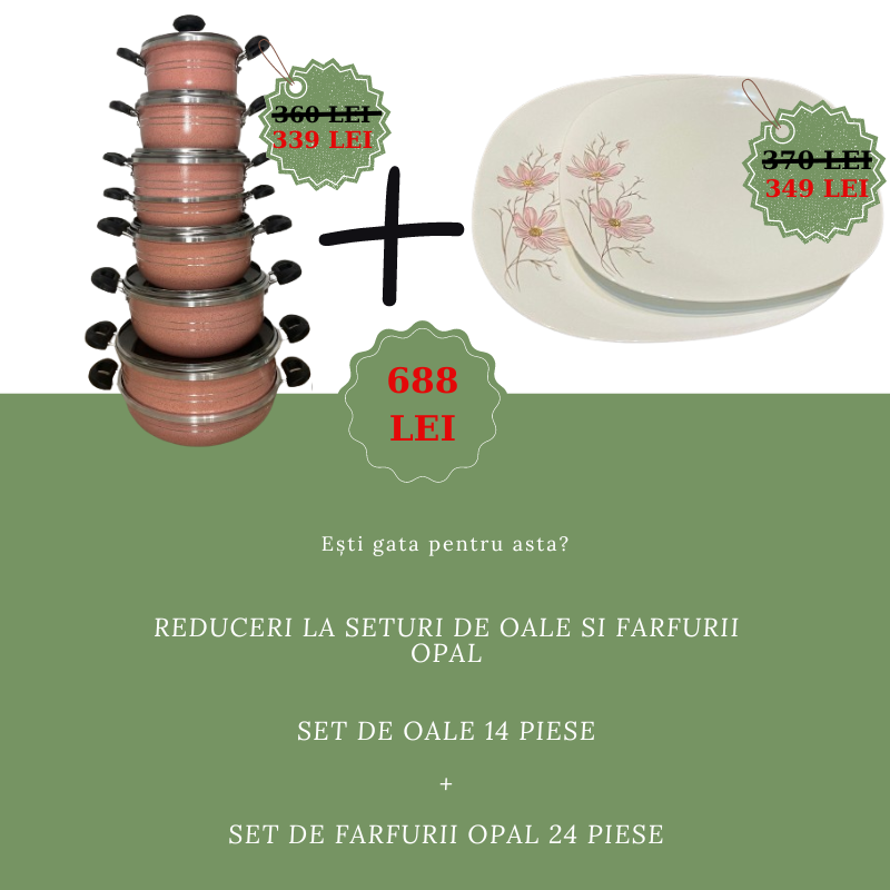 Set Oale 14 Piese + Set Farfurii Opal 26 Piese by Kiwi Mag